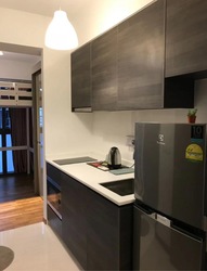 Sims Urban Oasis (D14), Condominium #578310011